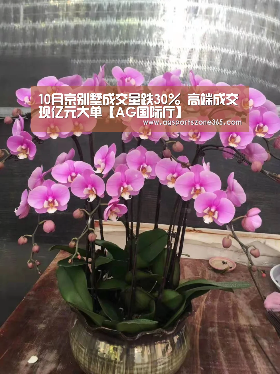 10月京别墅成交量跌30% 高端成交现亿元大单【AG国际厅】(图4) AG国际厅